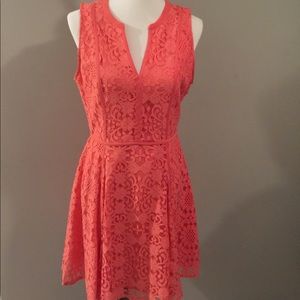 LC Fit and Flare Dress NWT